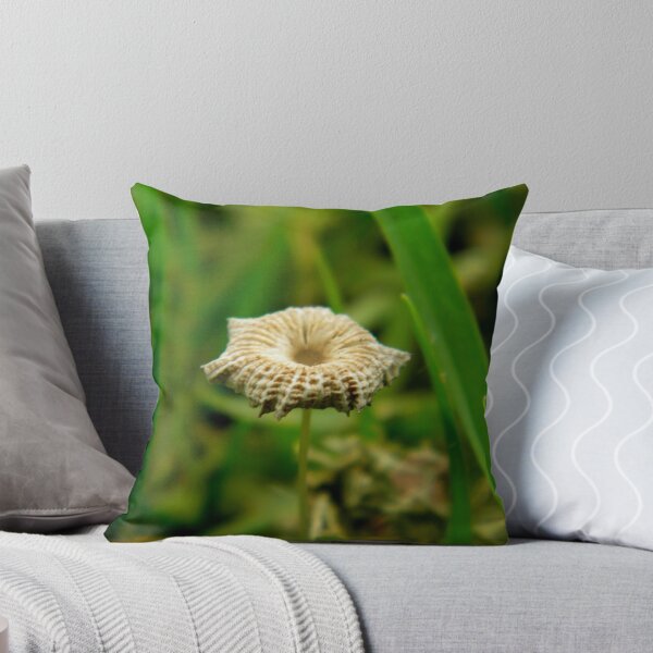 Item preview, Delicate  designed and sold by Helena Bolle.