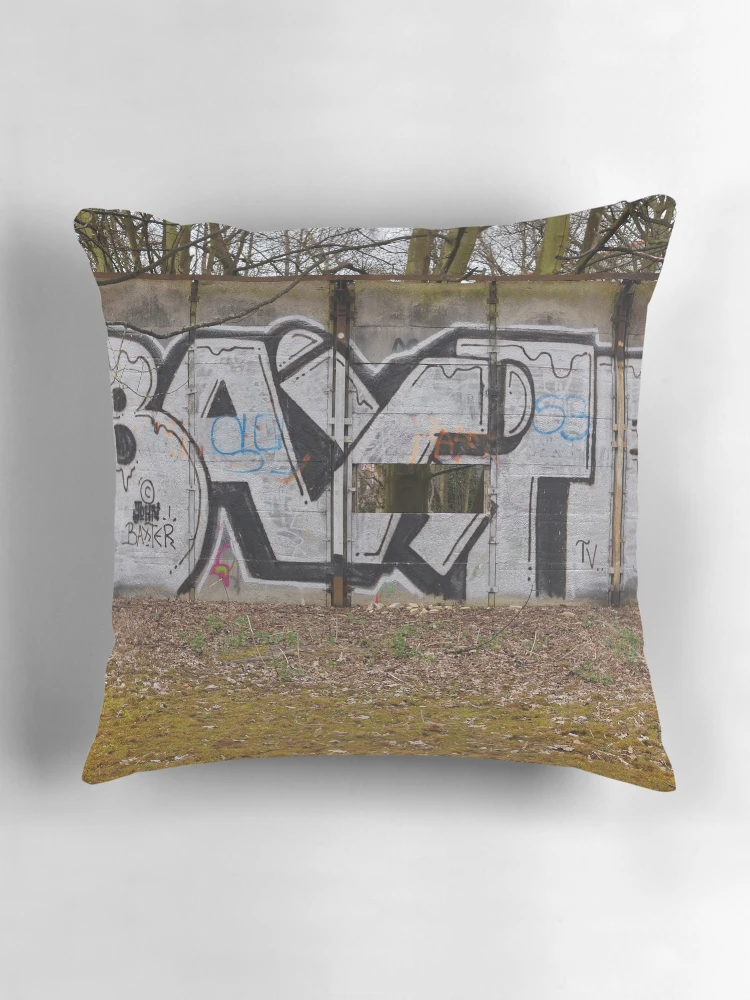 Aperçu 3 sur 4. Coussin avec l'œuvre Baxter créée et vendue par Rees Adams.