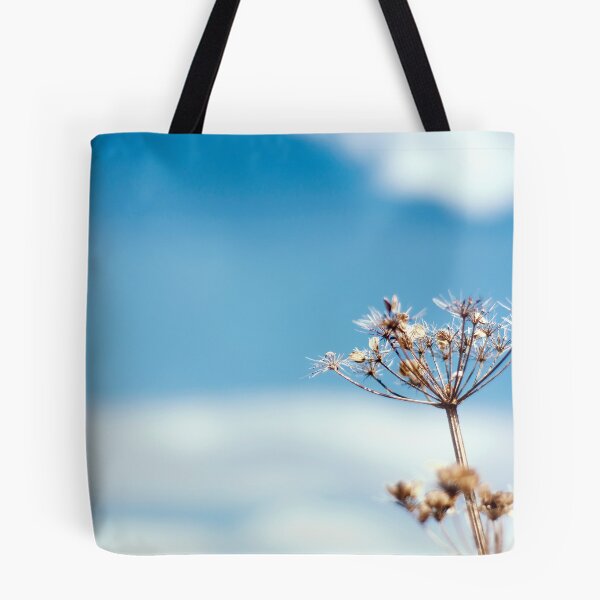 Item preview.