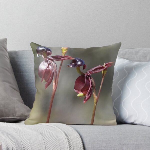 Item preview, Caleana major - Large Duck orchid. designed and sold by Cindy McDonald.