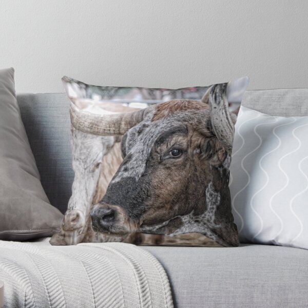 Longhorn Stare Throw Pillow