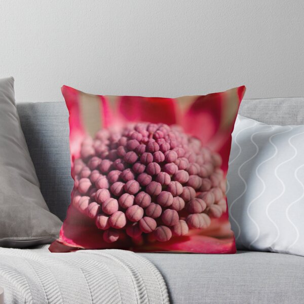 Item preview, Waratah flower designed and sold by Adriano Carrideo.