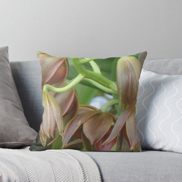 Item preview, Chocolate Orchids Opening   designed and sold by ronholiday.