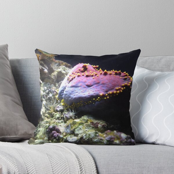 Item preview, Cucumber & Coral designed and sold by Lindsey Fisher.