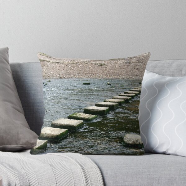 Item preview, Stepping stones designed and sold by desertman.