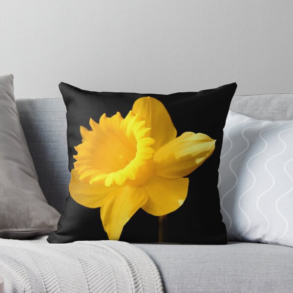Item preview, Daffy designed and sold by Paul Bettison.