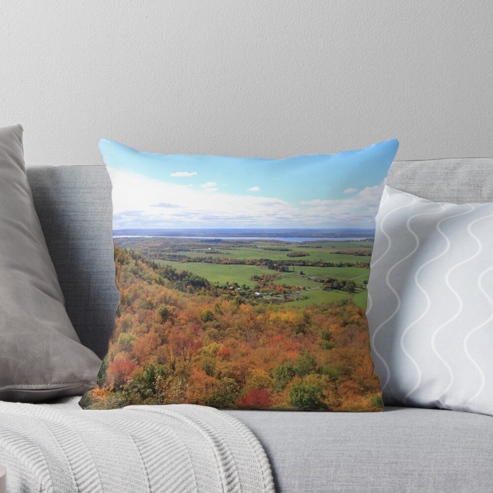 Item preview, Throw Pillow designed and sold by spaterson.