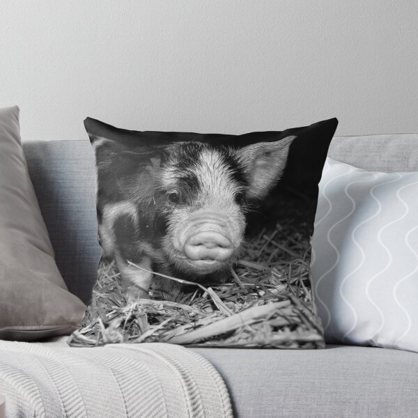 Artikelvorschau, one little piggy entworfen und verkauft von photopepper.