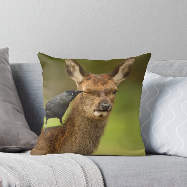 Item preview, The Jackdaw & Hind designed and sold by Richard Bond.