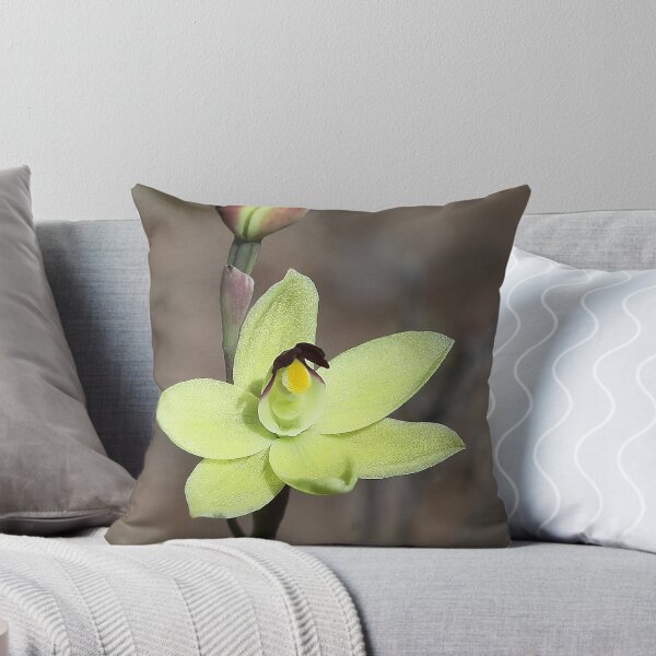 Item preview, Thelmitra antennifera - Rabbit ears sun orchid. designed and sold by Cindy McDonald.