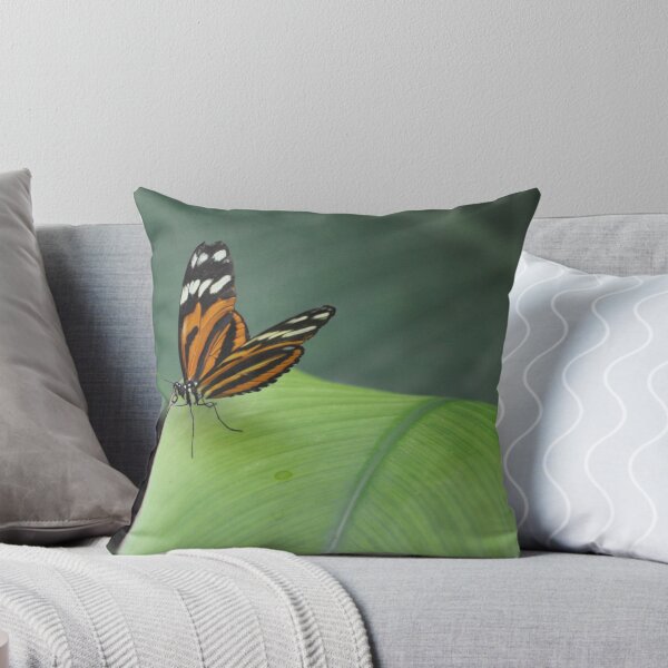 Item preview, Leaf The Butterfly Alone designed and sold by JECunningham.