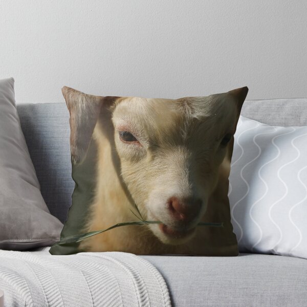 Item preview, Radar designed and sold by Tamara  Kenneally.