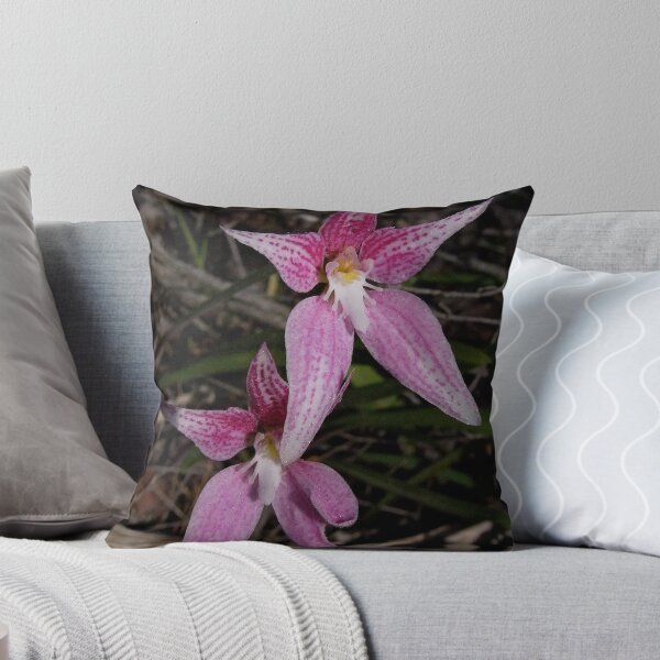 Item preview, Cowslip Orchid (Caladenia flava) x  Pink Fairy Orchid (Caladenia latifolia)  designed and sold by Rosie Appleton.