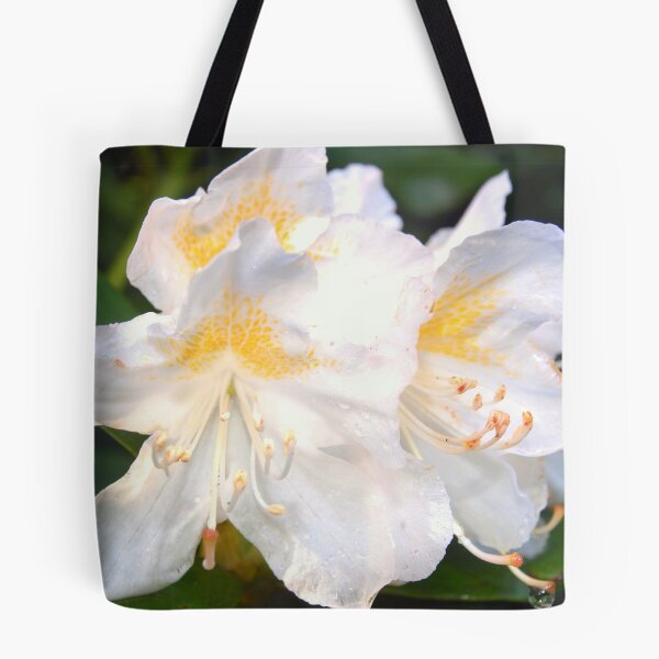 Artikelvorschau, White Rhodo entworfen und verkauft von colette2511.