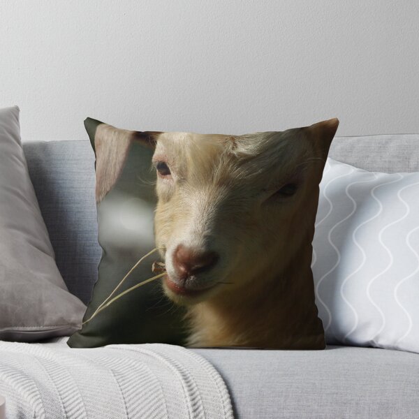 Item preview, Darling Radar designed and sold by Tamara  Kenneally.