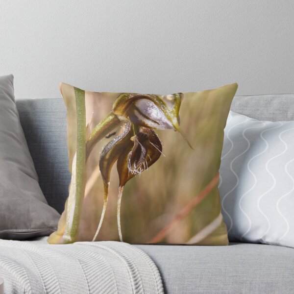 Item preview, Floodplain Rustyhood - Oligochaetochilus cheraphilus designed and sold by Paul Piko.