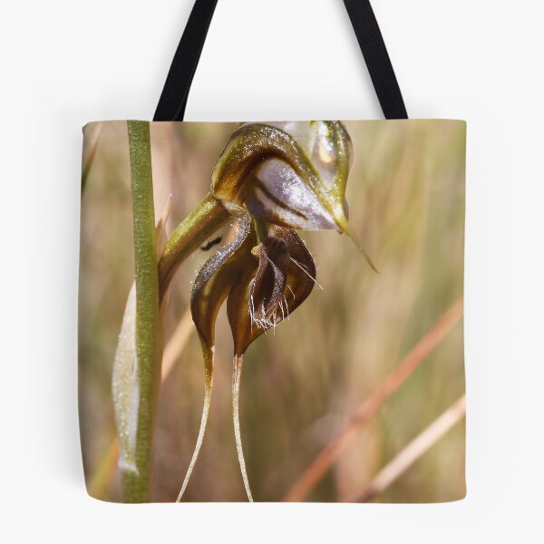 Item preview, Floodplain Rustyhood - Oligochaetochilus cheraphilus designed and sold by Paul Piko.