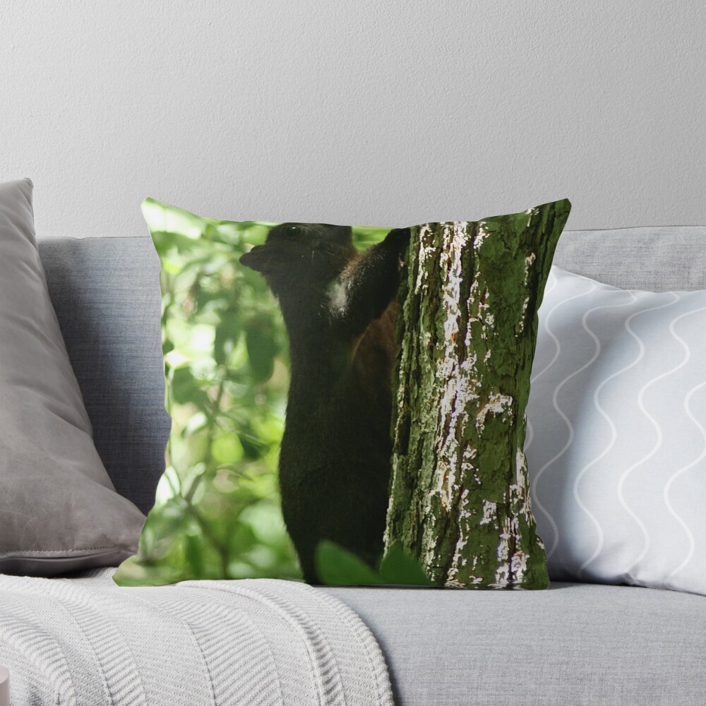 Item preview, Throw Pillow designed and sold by eaglewatcher4.