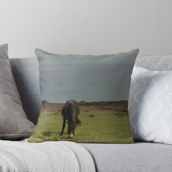 Artikelvorschau, Exmoor Pony entworfen und verkauft von Janet Watson.