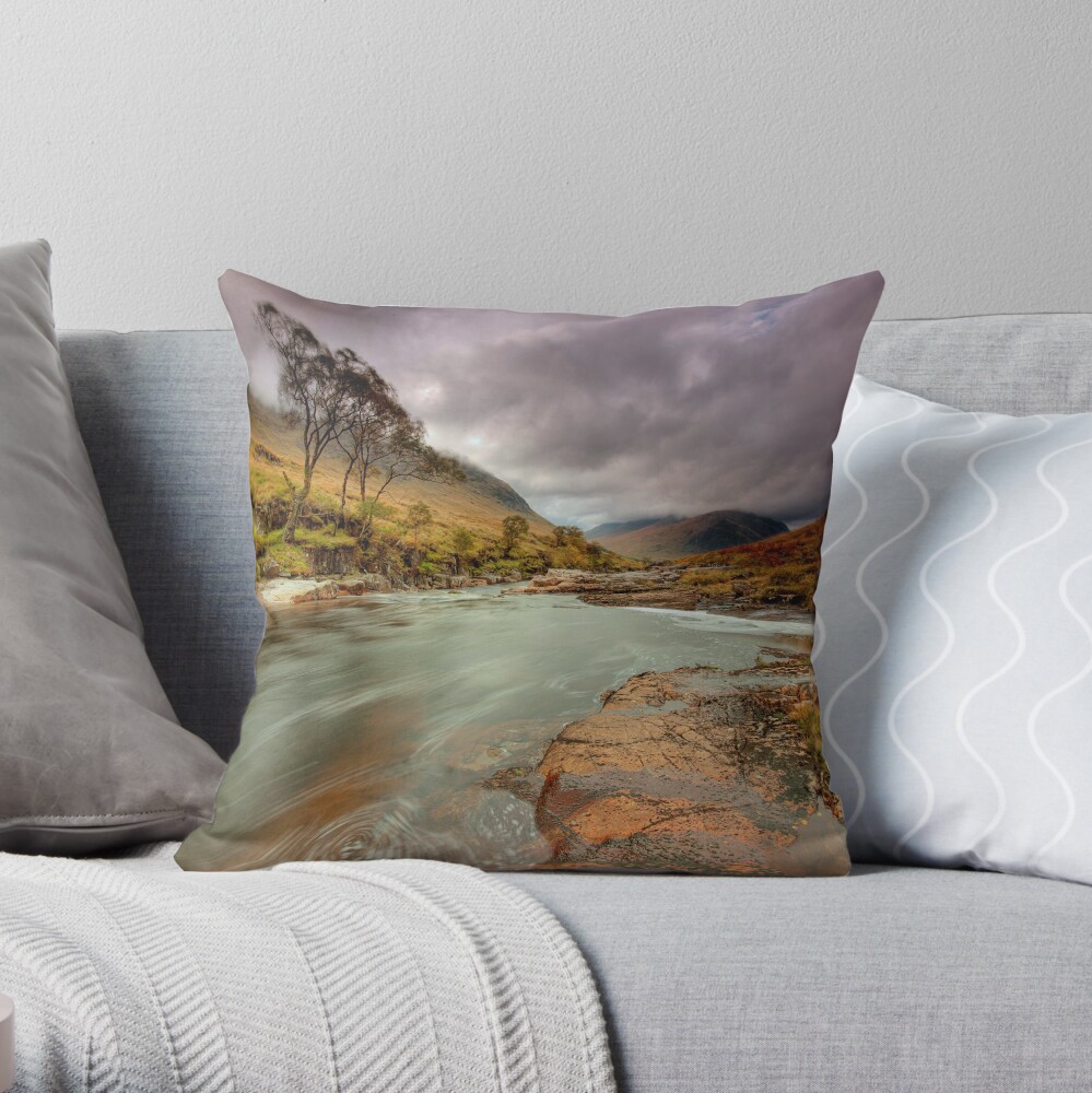 Swirl Throw Pillow