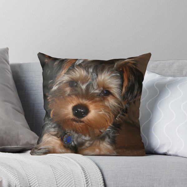 Item preview, Pretty Boy designed and sold by Elizma Knowles.