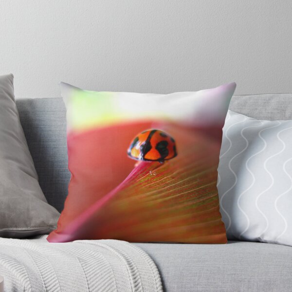 Item preview, Ladybird on Cordyline designed and sold by Vanessa Barklay.