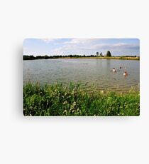 Small Lake. 02. Canvas Print