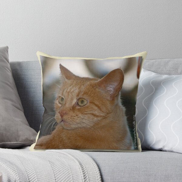 Artikelvorschau, Marmaduke the Marmalade Cat entworfen und verkauft von Odille Esmonde-Morgan.