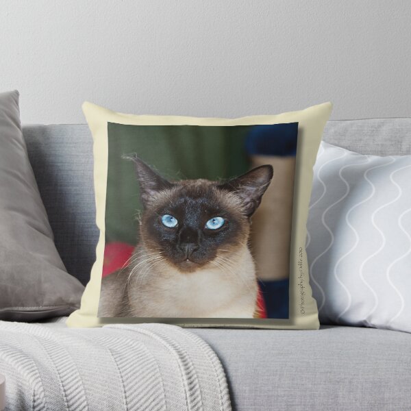 cat calendar image #5 Zafira Throw Pillow
