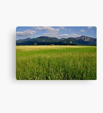 Germany. Countryside. 17. Canvas Print