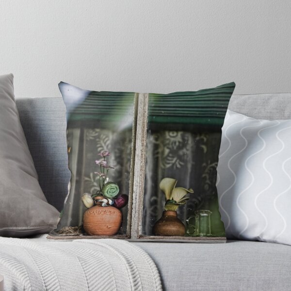 Norah's Window Throw Pillow