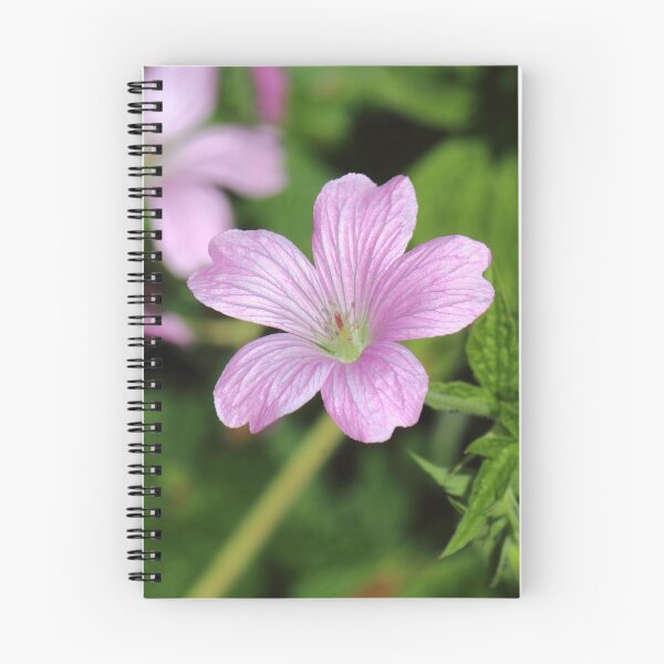 Item preview, Pink Geranium 01 designed and sold by Artberry.