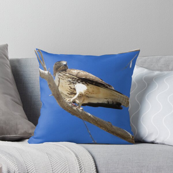 Item preview, Red-tailed Hawk ~ Juvenille (mine) designed and sold by Luck of the Shutter.