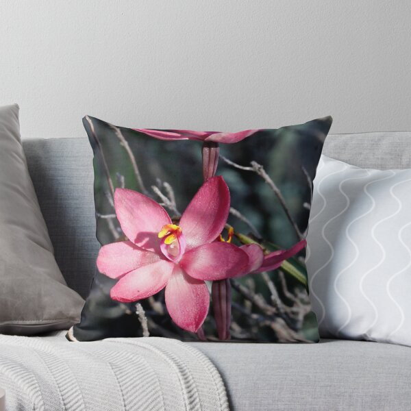 Item preview, Thelymitra antennifera x T megcalyptra designed and sold by Cindy McDonald.