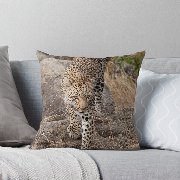 Item preview, Female Leopard designed and sold by Michael Moss Photography.