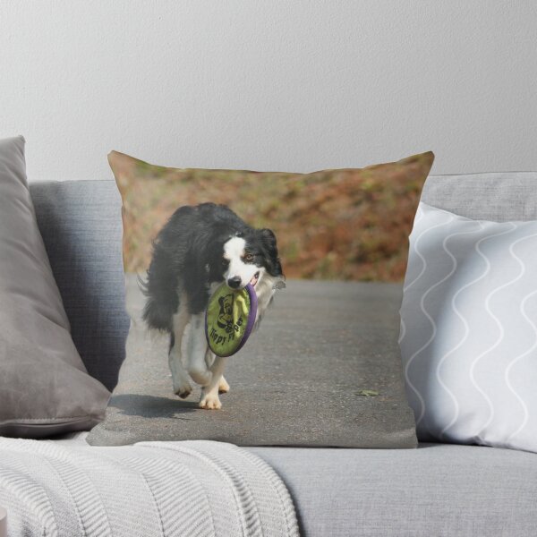 Item preview, Playing Catch designed and sold by DebbieCHayes.