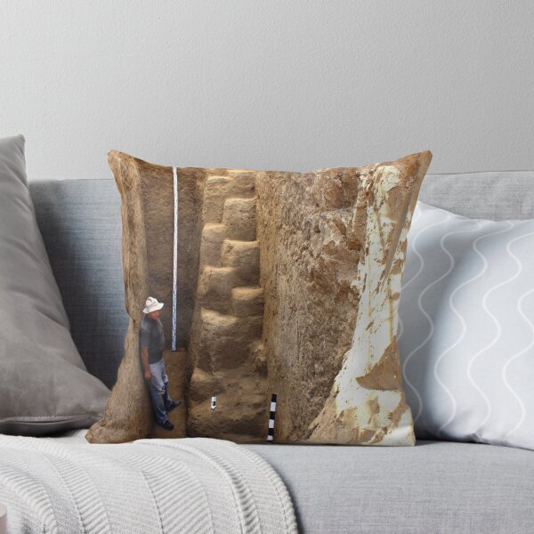 Item preview, I Just Can't Take Those Steps Again! designed and sold by J J Everson.