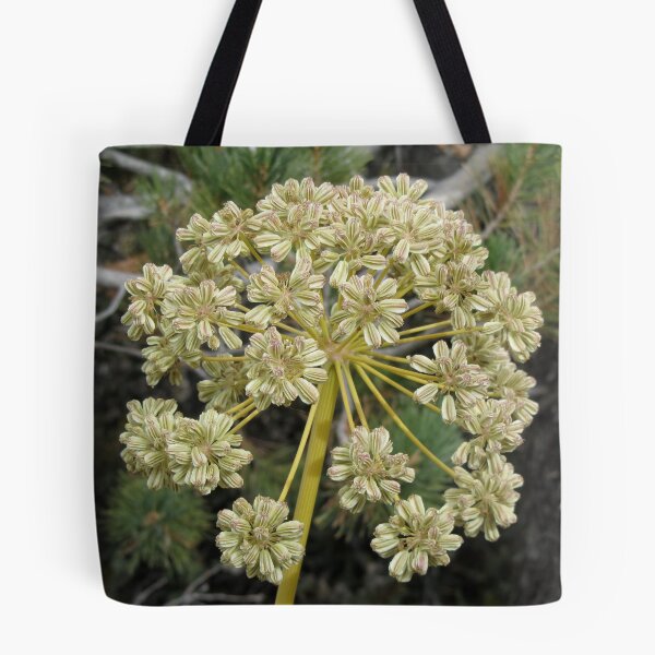 Item preview, White wildflower, eastern Sierra designed and sold by David Galson.
