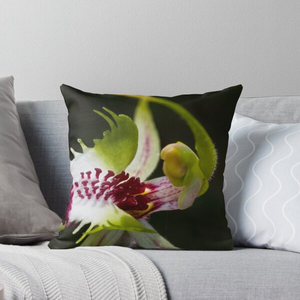 Item preview, Caladenia tentaculata Mantis Orchid designed and sold by David  Piko.