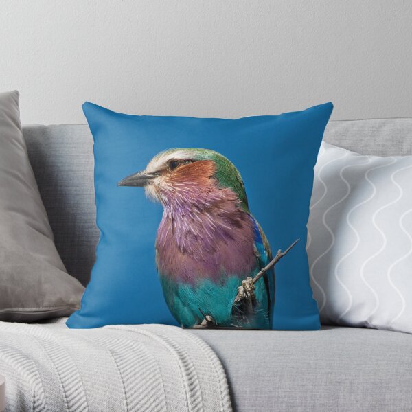 Lilac-breasted roller up close Throw Pillow