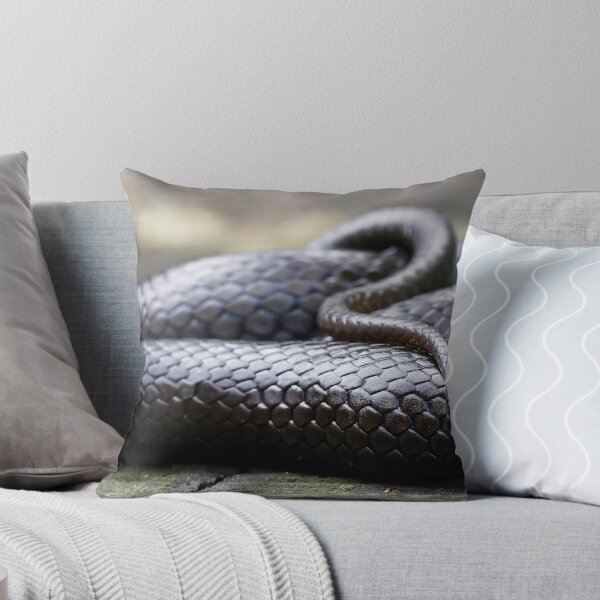 Item preview, Black-Bellied Swamp Snake, Hemiaspis signata designed and sold by Normf.