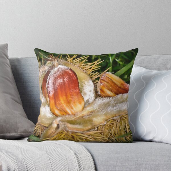 Item preview, Chestnut designed and sold by Image123.