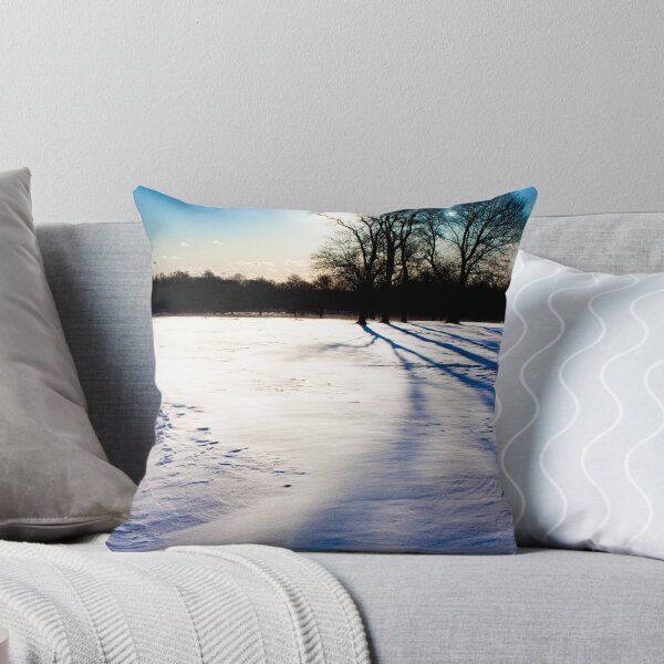 Item preview, Winter Park and Snow Drifts designed and sold by Benjamin Manning.