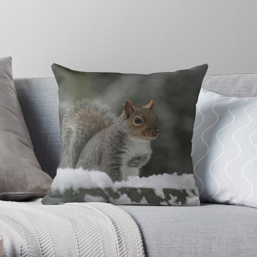 Squirrel 7 Throw Pillow