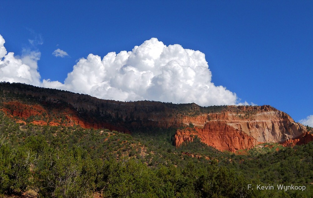 «San Diego Canyon, Jemez Springs, NM» de F. Kevin Wynkoop Redbubble