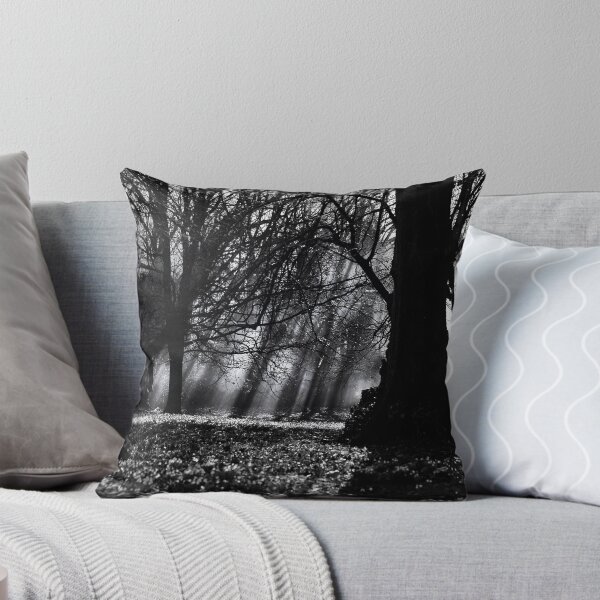 Item preview, Sunrays and shadows designed and sold by Martyn Franklin.