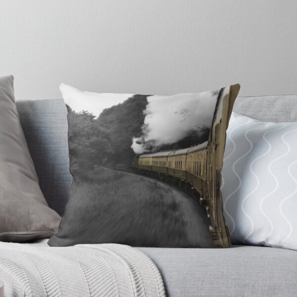Item preview, South Devon Railway designed and sold by Mark Bird.