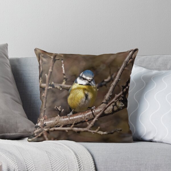 Item preview, Blue Tit designed and sold by davejw.