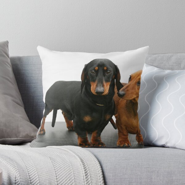 Miniature smooth dachshunds Throw Pillow
