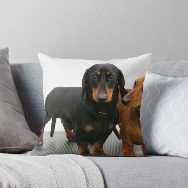 Item preview, Miniature smooth dachshunds designed and sold by Joanne Emery.